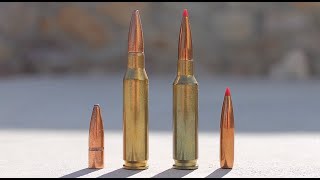 7mm08 vs 65 Creedmoor Whats Best For You [upl. by Oahc890]