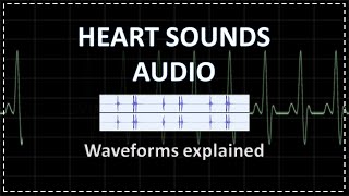 Heart Sounds amp Surface Anatomy  Cardiology [upl. by Alilahk]