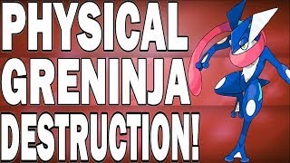 Pokemon X and Y  Physical Greninja Moveset Is Beastly [upl. by Cummine]