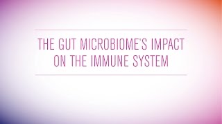 The Gut Microbiomes Impact on The Immune System [upl. by Emlynne]