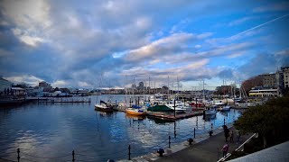 Walking Tour  Victoria  British Columbia Canada [upl. by Lytsirk511]