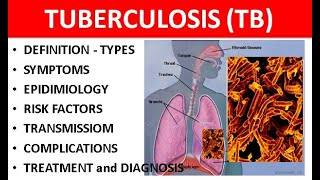 Tuberculosis TB Explained Causes Types Symptoms Diagnosis amp Treatment [upl. by Alemahs]