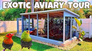 Bird Aviary [upl. by Semyaj]