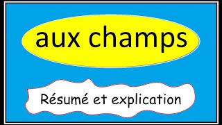 aux champs  résumé et explication [upl. by Casady490]