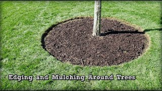 Edging and Mulching Around Trees  How To Redefine An Edge [upl. by Enel]