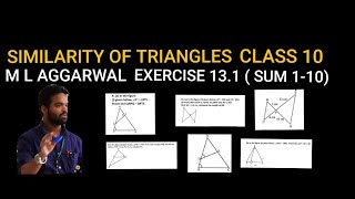 Similarity of triangles class 10  icse  m l aggarwal  exercise 131  sum 110 [upl. by Nuahsyt]