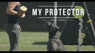 CANE CORSO BEST DOG PROTECTOR Meryl and Marco [upl. by Noj]