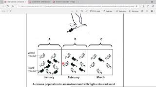 Evolution questions on lamarck and darwin Grade 12 Life Science [upl. by Yrehcaz984]