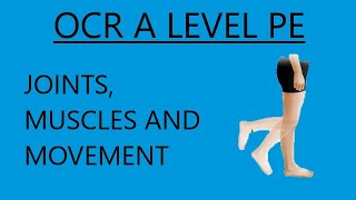 OCR A Level PE  Joints Muscles and Movements [upl. by Kirt543]