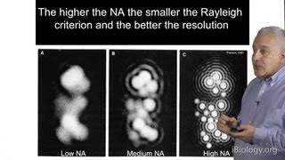 Microscopy Resolution in Microscopy Jeff Lichtman [upl. by Hailed]