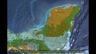 CONABIO  Calakmul  La reserva tropical más grande e importante de México [upl. by Margeaux]