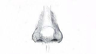 HOW TO DRAW A NOSE Step by step guide for beginners [upl. by Analat]