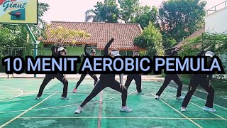 10 MENIT SENAM AEROBIK UNTUK PEMULA [upl. by Lahtnero]