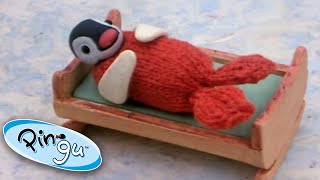 Pingu is Jealous of Pinga  Pingu Official  Cartoons for Kids [upl. by Kaufman]