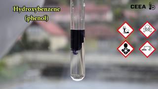 THE FERRIC CHLORIDE TEST FOR PHENOLS [upl. by Corvin630]