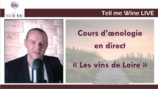 COURS DOENOLOGIE  LES VINS DE LOIRE  Devenez incollable [upl. by Novaj]