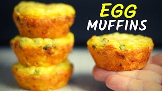 COTTAGE CHEESE AND EGG MUFFINS An easy way to add protein to your breakfast [upl. by Sillert807]