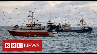 UK warns France it may retaliate over fishing threats  BBC News [upl. by Lachish]