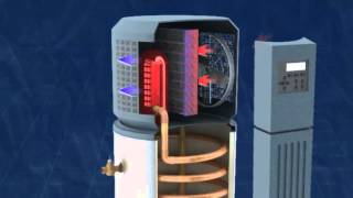 How do Heat Pump Water Heaters Work [upl. by Ireland974]