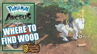 Pokemon Legends Arceus  Where to Find Wood Location [upl. by Catina898]