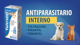 Toltrazol Plus antiparasitario para cachorros y razas pequeñas [upl. by Anaicul]