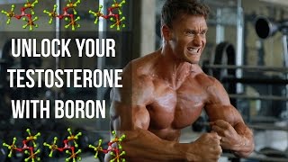 How to Naturally Increase Your Testosterone Scientifically Validated Options [upl. by Eletnahs]