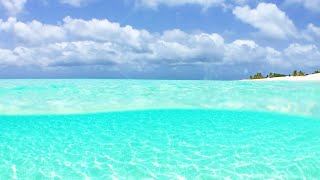 Best Beach in The Caribbean 1 Hour 4K Nature Video amp Relaxing Ocean Waves [upl. by Alaine]