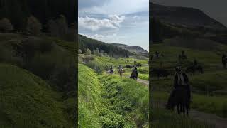 Icelandic Horseback Riding [upl. by Airb230]