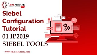 Siebel Configuration Tutorial 01 IP2019 SIEBEL TOOLS OMNI ACADEMY [upl. by Krall698]