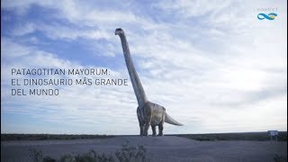 Patagotitan mayorum el dinosaurio más grande del mundo [upl. by Purdy]