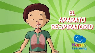 EL APARATO RESPIRATORIO  Videos Educativos para Niños [upl. by Cori]