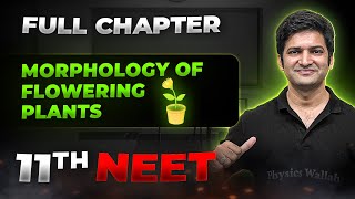 Morphology of Flowering Plants FULL CHAPTER  Class 11th Botany  Arjuna NEET [upl. by Yenruogis]