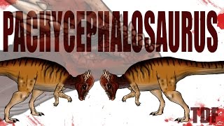 Pachycephalosaurus A Thick Headed Dinosaur TDF Facts [upl. by Yespmed]