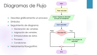 Diagrama de Flujo Flowgorithm [upl. by Apeed]