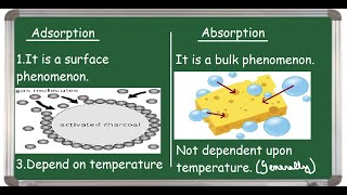 Adsorption Vs Absorption Differences [upl. by Teragram341]