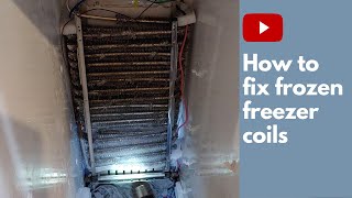 DIY How to fix frozen freezer coils 2021 [upl. by Ania281]