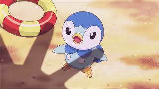 Pokemon Piplup and Oshawott funny Montage  compilation [upl. by Ilaw]