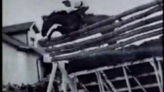 World Record Show Jumping  Huaso Horse [upl. by Eidoj]