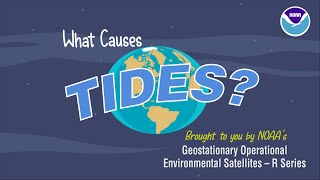 What Causes Tides [upl. by Arrik]