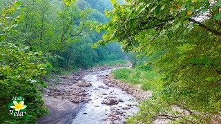 8 Hours Relaxing Nature Sounds  River Noise and Birdsong [upl. by Jillana]