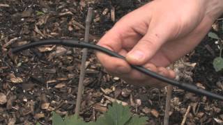 Drip Irrigation Basics [upl. by Eelinej]