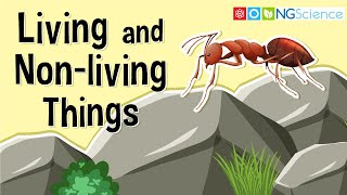 What Are Living and Nonliving Things [upl. by Longerich]