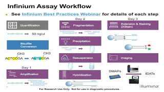 Illumina Infinium Methylation Analysis and Reporting Review [upl. by Atalie]