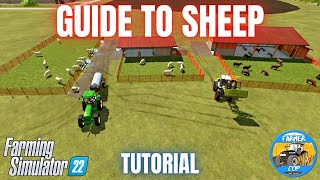 GUIDE TO SHEEP  Farming Simulator 22 [upl. by Felipe134]