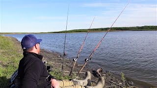 How to Catch MORE Catfish Bank Fishing [upl. by Corbet]