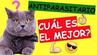 QUÉ ANTIPARASITARIO ES EL MEJOR Para Gatos [upl. by Lieberman]