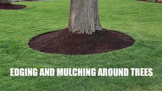 EDGING and MULCHING around TREES  How to get a CLEAN LOOK [upl. by Charmain882]