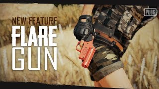 PUBG  New Feature  Flare Gun [upl. by Linson]