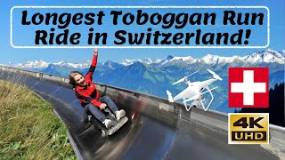 Longest Summer Toboggan Ride in Switzerland  4K Video [upl. by Mimajneb]