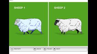 How Dolly the Sheep was cloned [upl. by Mendoza]